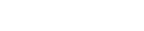 light logo
